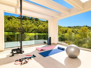 A modern gym with exercise equipment, yoga mats, and a large exercise ball. - Villa Vatia 3 - Three Bedroom Villa, Sleeps 8 (Ionian Islands)