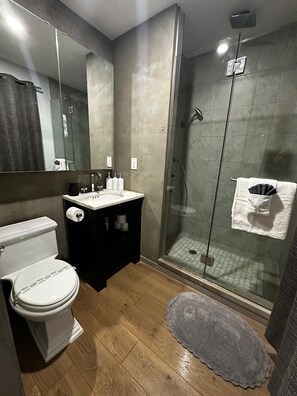 Shower, hair dryer, towels, soap - Luxury Pocono Villa W/Hot Tub (Tobyhanna)