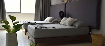 Casas Freda Departamentos