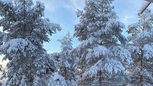 A snow-covered balcony with a view of snow-laden trees. - Magical and Cosy apartment with tree views from every window! (Rovaniemi)