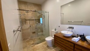 Shower, hair dryer, towels
