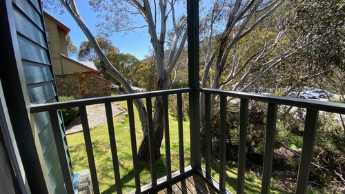 Three Bears 3 - Thredbo