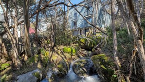 A natural stream with moss-covered rocks, surrounded by trees and a building with a stone facade in the background. - Snow Creek 4 - Thredbo (Thredbo)