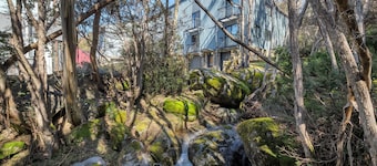 Snow Creek 4 - Thredbo