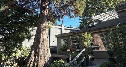 Sequoia House Capilano Cypress Mountain near Downtown located - North Vancouver