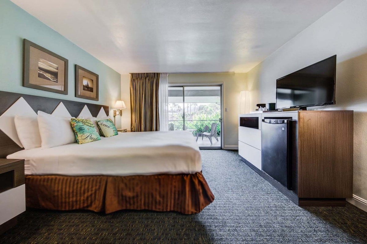 A hotel room with a bed, a television, a desk, and a view of the outdoors.