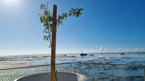 A coastal view with a clear sky, a sandy beach, and a large concrete planter with a tree. - Perto da Praia: Wi-Fi, Piscina e Garagem (Maceió)