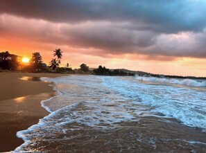 Ein Strand mit Wellen, Palmen und einem Sonnenuntergang.