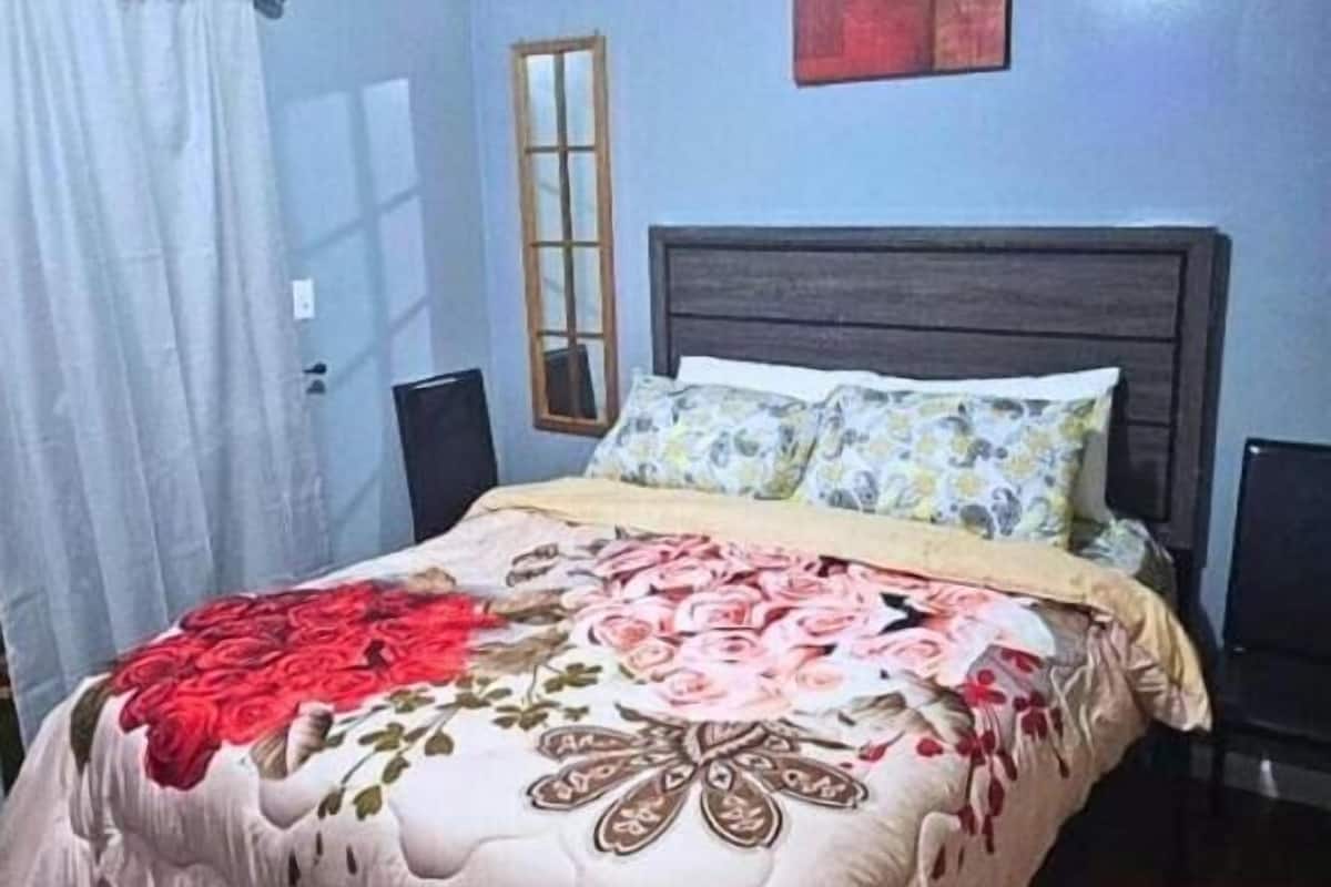 Deluxe Room, 1 Queen Bed, Non Smoking, Shared Bathroom | Desk, laptop workspace, free WiFi
