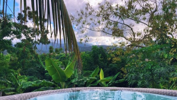 A clear view of a swimming pool surrounded by lush greenery and a mountainous landscape. - Tropical Retreat with Spectacular Rainforest & Ocean Views. Now with Jacuzzi! (Luquillo)