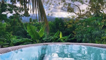 A clear view of a swimming pool surrounded by lush greenery and a mountainous landscape.