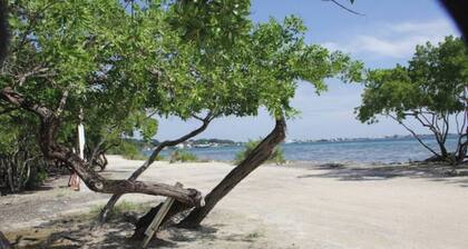 #444 2Bed 2Bath Brand New Beauty!