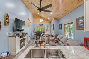 TV connectée, cheminée, livres