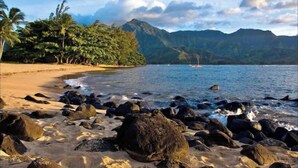 Uma praia com pedras à frente, palmeiras e montanhas ao fundo.