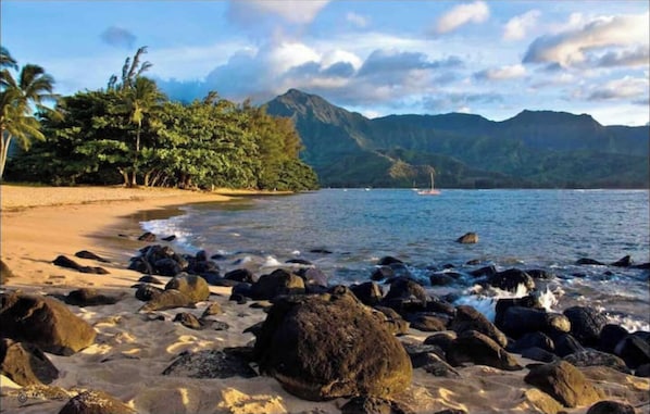 A beach with rocky foreground, palm trees, and mountains in the background. - Amazing Views above Beautiful Hanalei Bay (Princeville)
