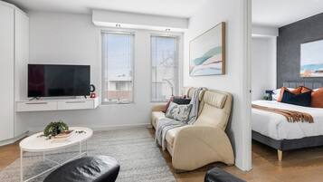 Smart TV, fireplace, books