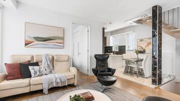 Smart TV, fireplace, books