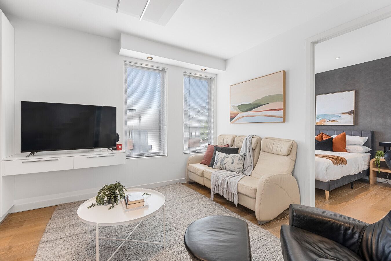 Smart TV, fireplace, books