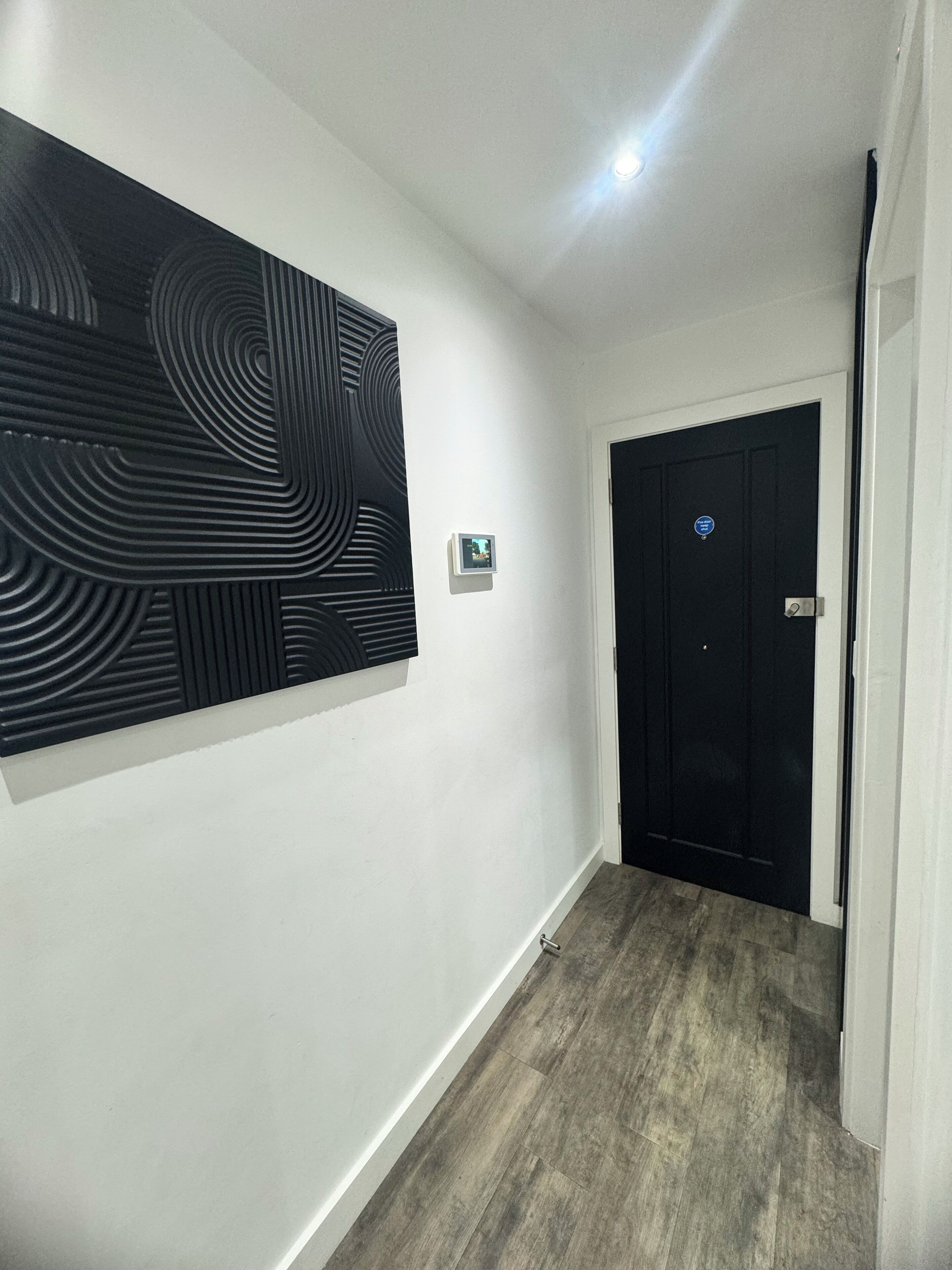A hallway with a black door, a wall-mounted intercom, and a large abstract artwork.