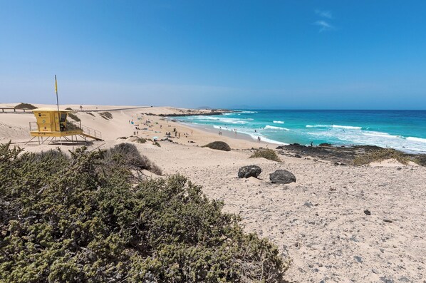 Strand