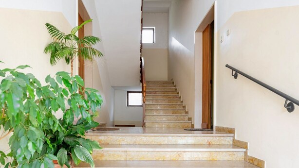 Un escalier avec des marches en marbre menant à l’étage supérieur, une main courante sur le côté droit et un pot de fleurs sur le côté gauche.