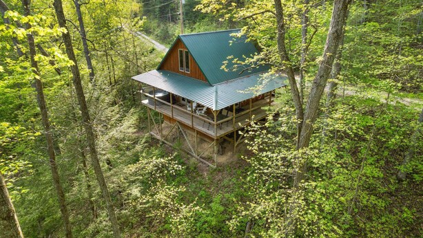 Une cabane dotée d’un toit végétalisé, d’une terrasse en bois et de nombreuses fenêtres, entourée d’une forêt dense.