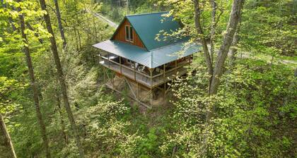 Secluded Tree House Cabin Theme in RRG• Hot Tub•Pet Friendly• Guest Fav•