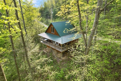 Secluded Tree House Cabin Theme in RRG• Hot Tub•Pet Friendly• Guest Fav•