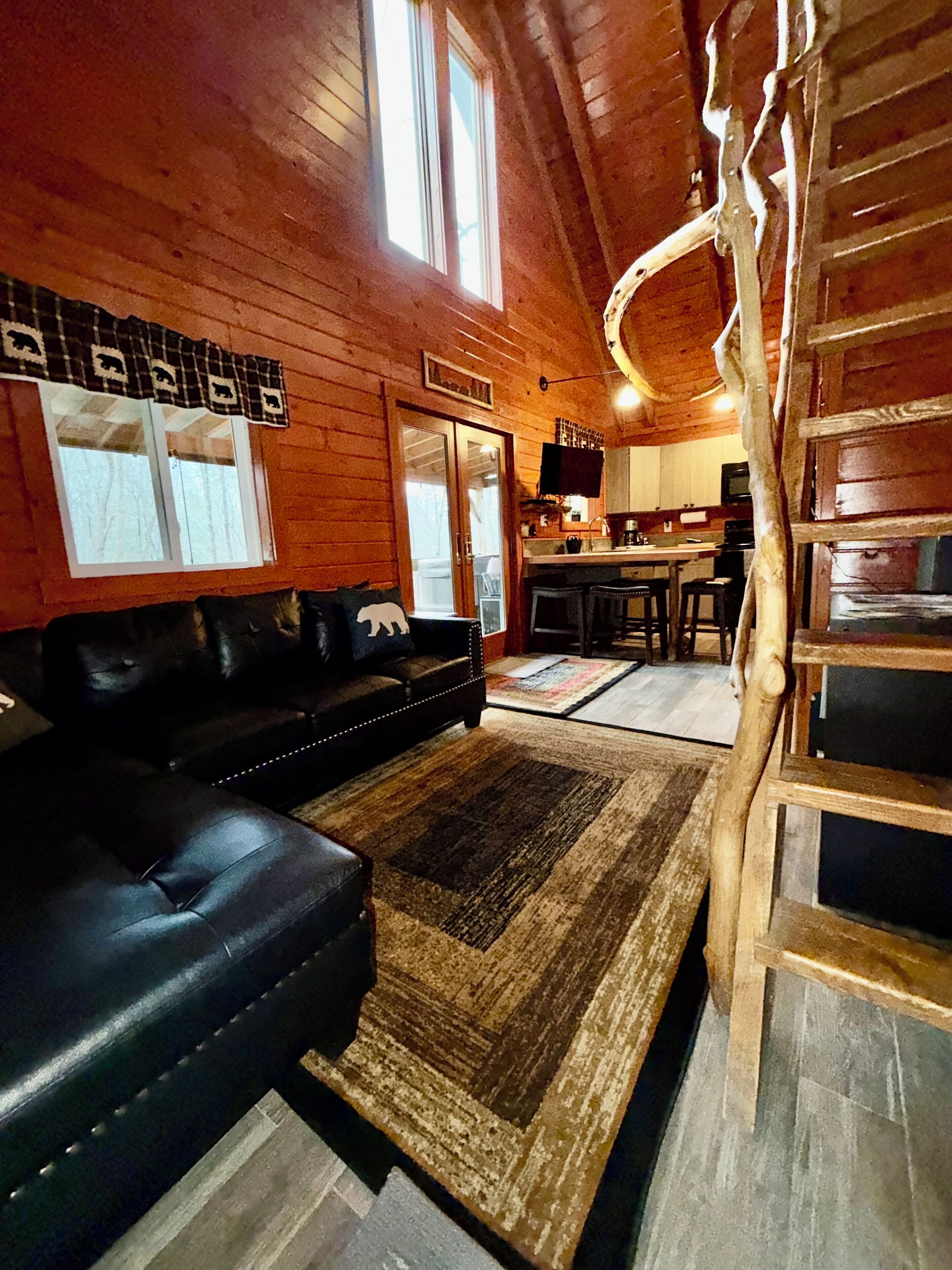 Smart TV, caminetto, lettore DVD, libri