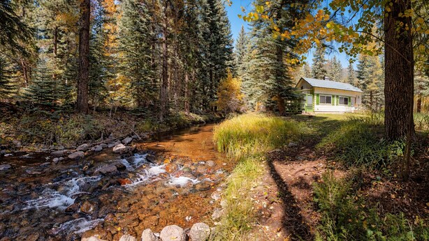 Una cabaña rodeada de bosque con un arroyo que la atraviesa.