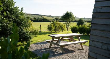 Cosy Rural Cabin in the Cornish Countryside
