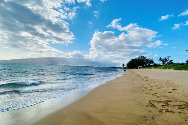 Ligstoelen aan het strand