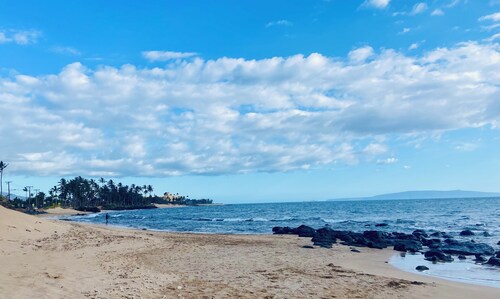 Ocean View 2-bedroom condo with pool and AC in wonderful Kihei