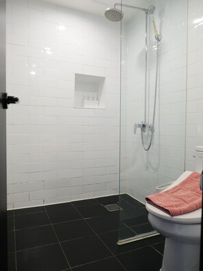 Habitación doble estándar | Baño | Regadera, secadora de cabello, jabón, shampoo 