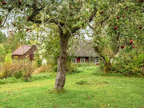 Een rustieke woning, omringd door een weelderige appelboomgaard.