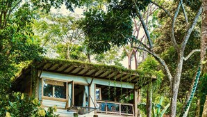 Une cabane perchée dans un arbre, dotée d’une terrasse en bois, entourée d’un feuillage dense et accessible par un sentier de terre.