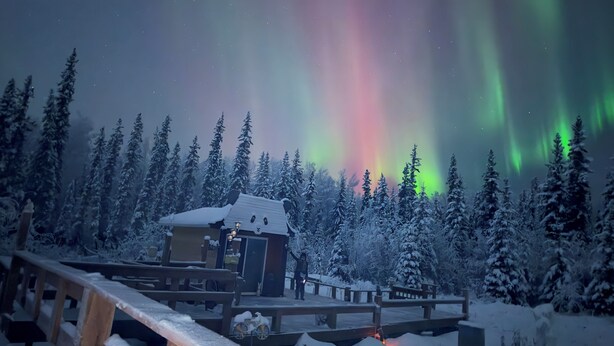 A snow-covered wooden deck with a small building, surrounded by snow-laden trees and a view of the Northern Lights. - Spacious 8-bedroom building in welcoming Fairbanks with WiFi (Fairbanks)