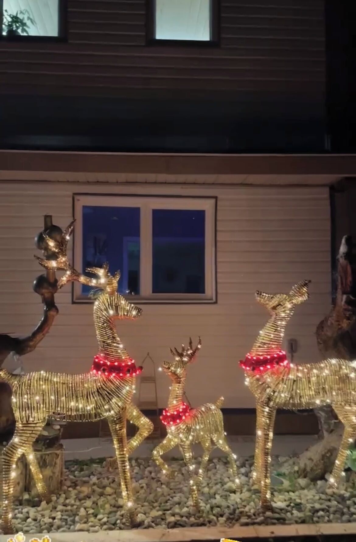 A house with a window and a decorative light display of reindeer figures.
