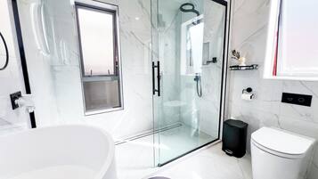 Shower, hair dryer, towels, soap