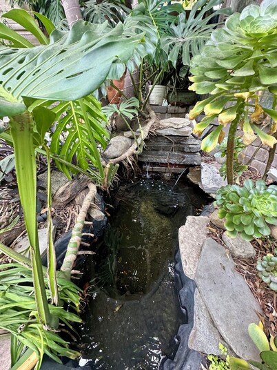 Charming 4-bedroom house free parking in the middle of Hollywood
