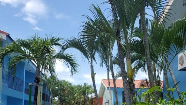 Una piscina circondata da palme e edifici con tetti blu e rossi.