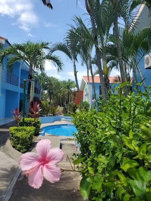 A pool surrounded by palm trees and buildings with blue and red roofs.