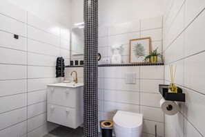 Shower, hair dryer, towels - Apartment 'Erz-Apartment' with Wi-Fi (Jahnsdorf/Erzgeb)