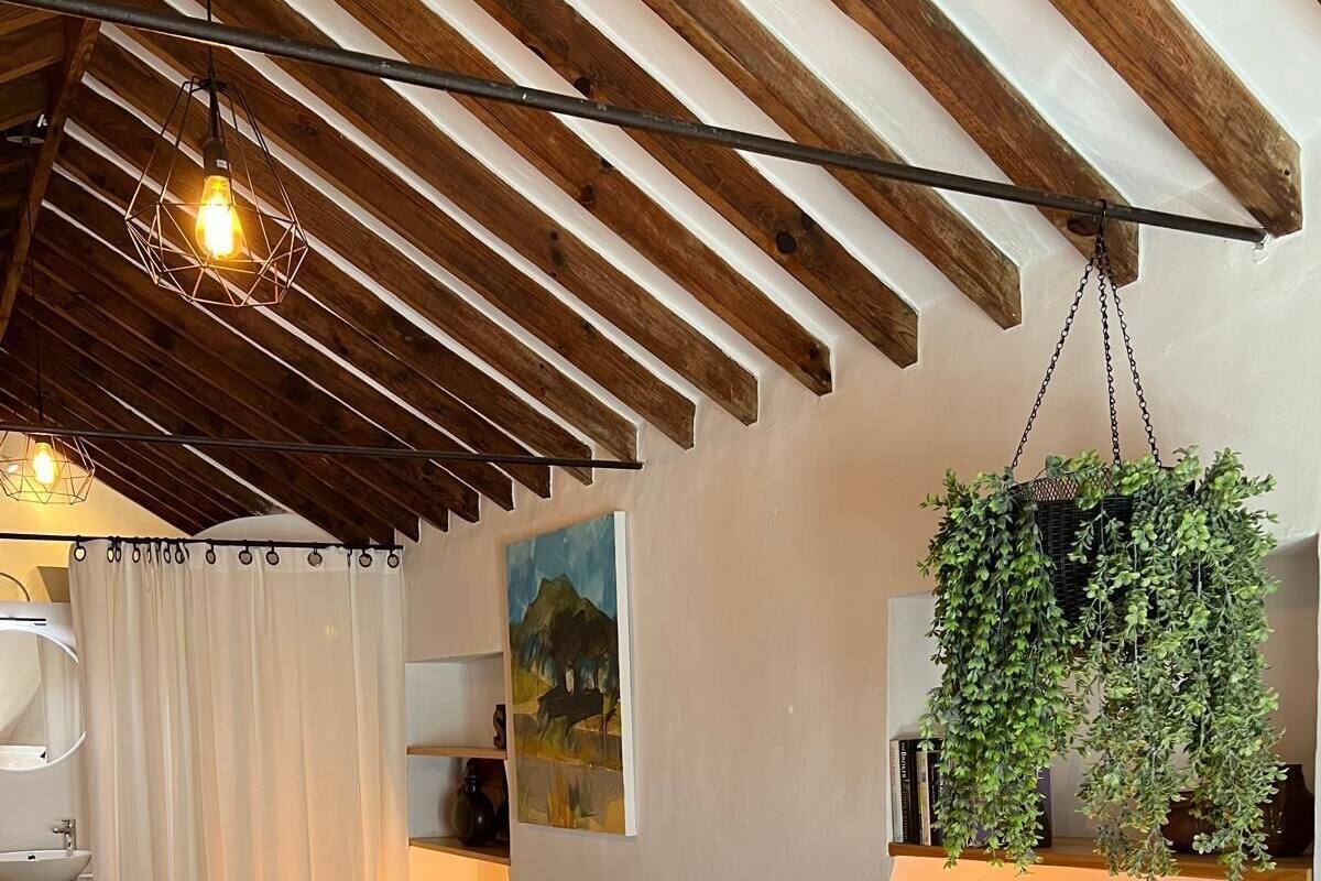 A bedroom with a wooden ceiling, a bed with blue bedding, a hanging plant, and a painting on the wall.