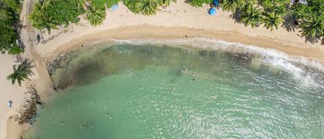 بالقرب من الشاطئ