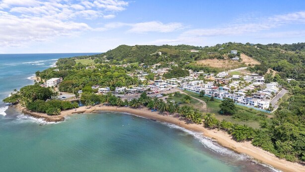 An aerial view of a coastal town with beachfront properties, dense greenery, and a clear view of the ocean.