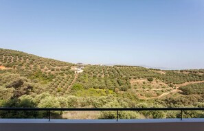 A hillside landscape with a building surrounded by olive trees. - Hillside Seaview Apartment (Chania)
