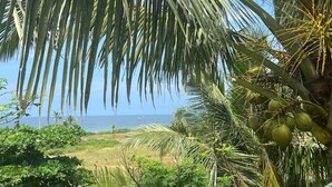 Una spiaggia con palme e un cielo sereno.