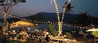 The Frog Cabana