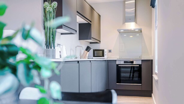 A modern kitchen with grey cabinets, a microwave, a stove, and a plant.